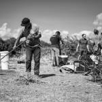Jazz It Up Landscaping and Irrigation Profile Picture