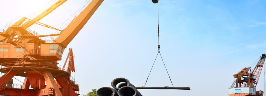 RADHA CRANES Cover Image