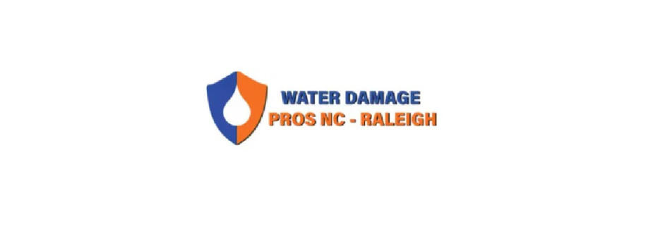 the Water Damage Pros Raleigh nc Cover Image