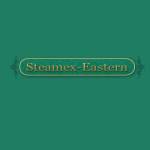 Steamex Eastern of Toledo Profile Picture