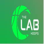 The Lab Hoops profile picture