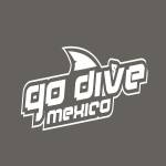 Go Dive Mexico Profile Picture